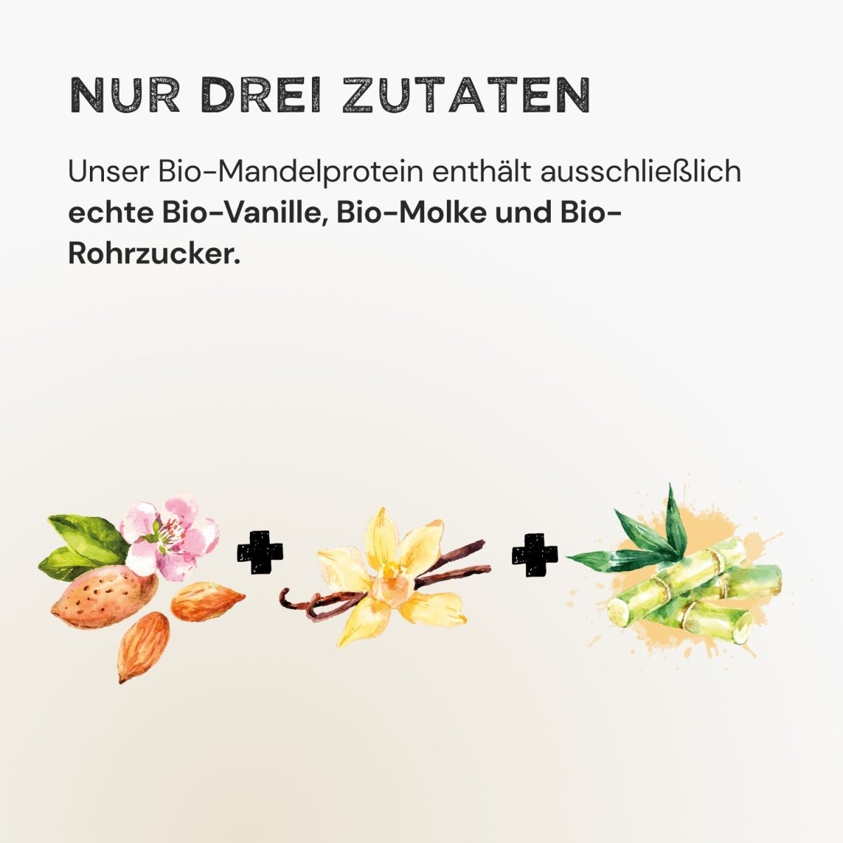 Almond Protein - Vanilla