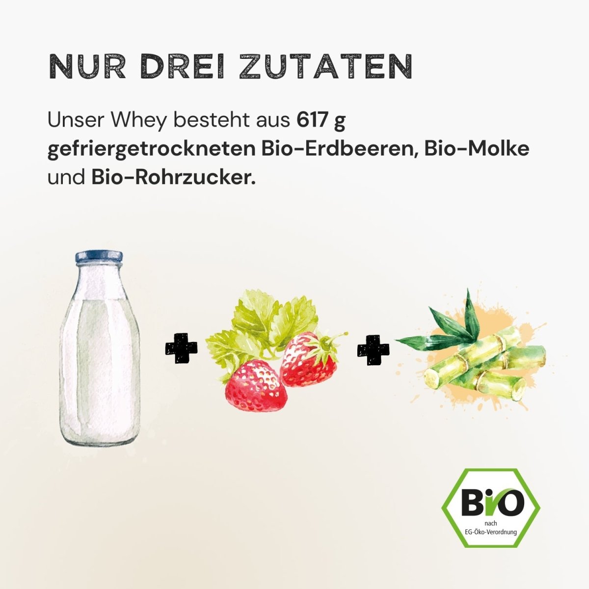 Whey Protein - Strawberry