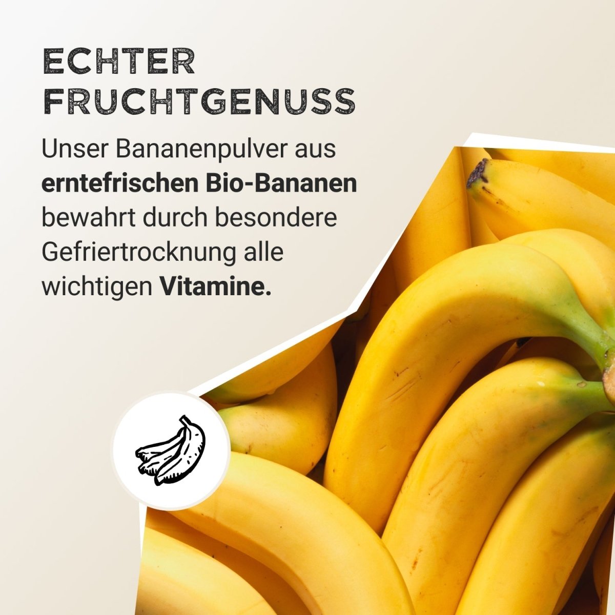 Fruit Powder - Banana