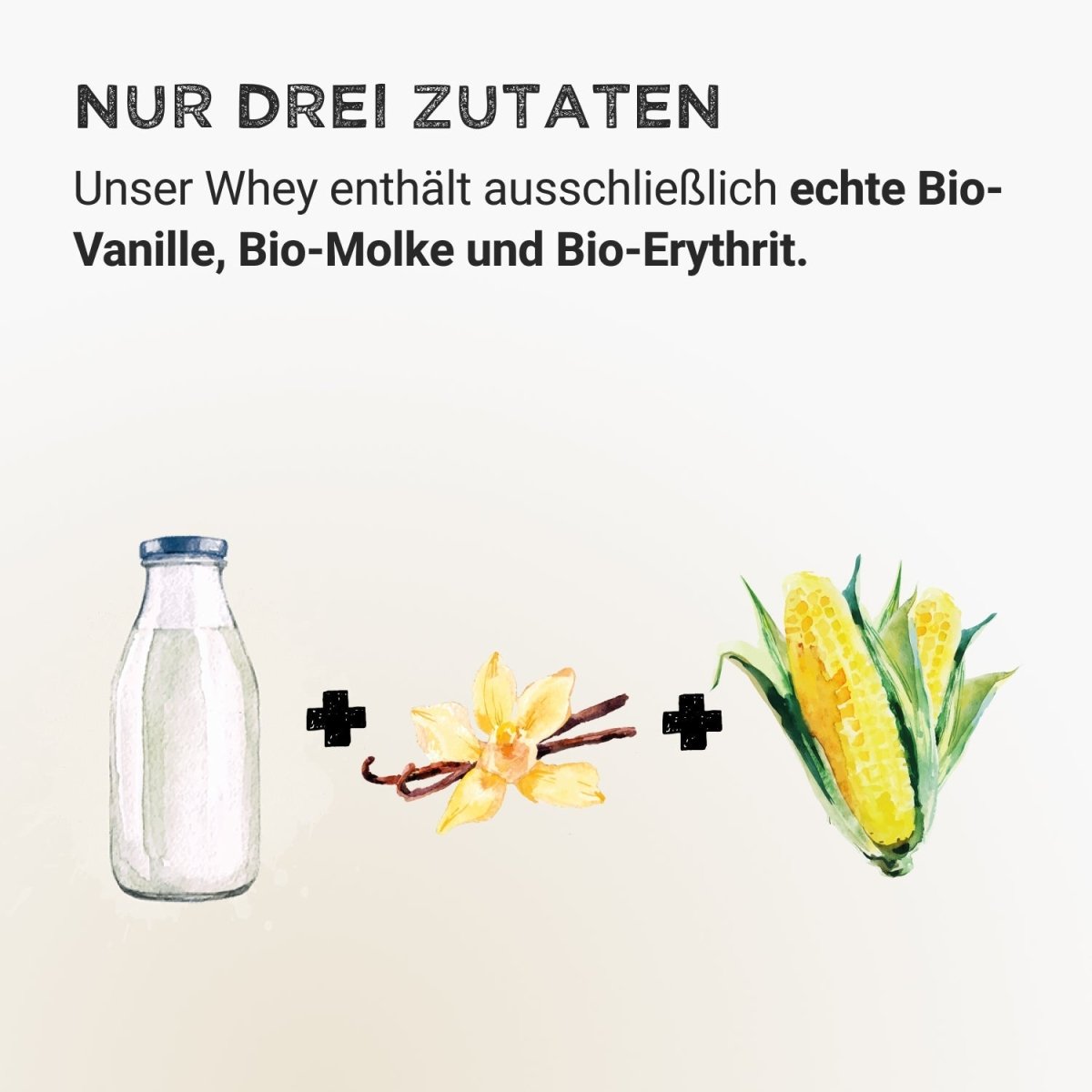 Bio Slim Food - Vanilla